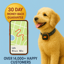 Lade das Bild in den Galerie-Viewer, NordPaw Dog GPS