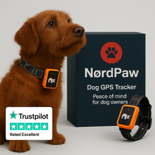 Lade das Bild in den Galerie-Viewer, NordPaw Dog GPS