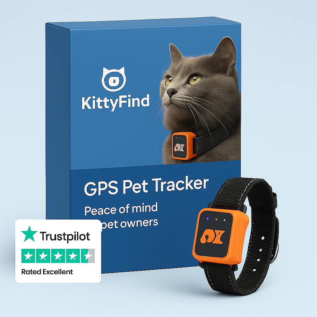 KittyFind GPS Collar – Osmo DE